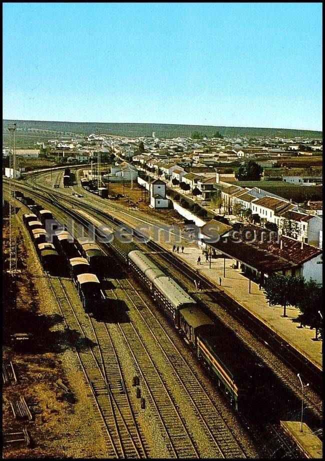 Vista panorámica de la roda de andalucía (sevilla)