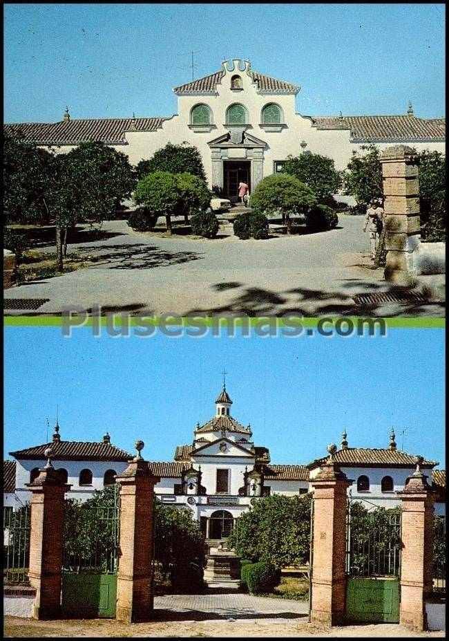 Maternidad y hogar de ancianos de montellano (sevilla)