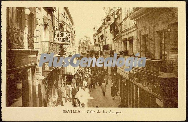 Calle de las sierpes de sevilla