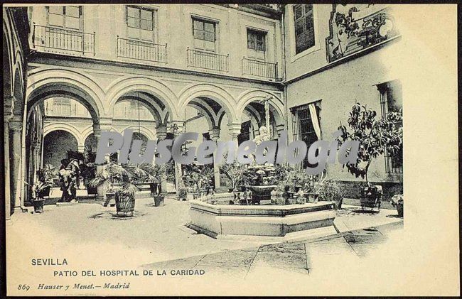 Patio del hospital de la caridad de sevilla