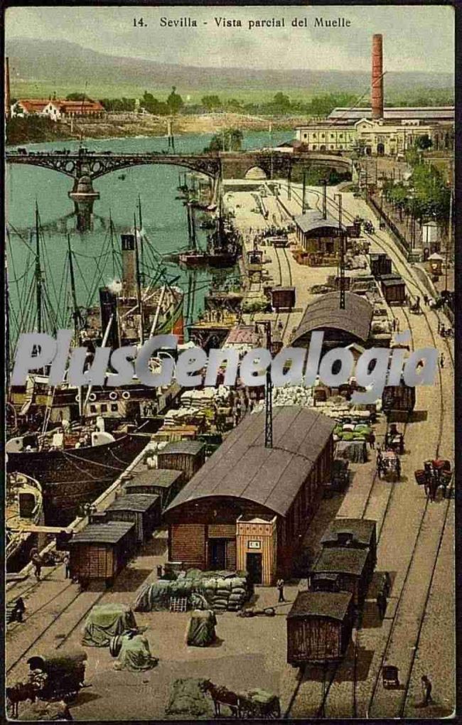 Vista parcial del muelle de sevilla