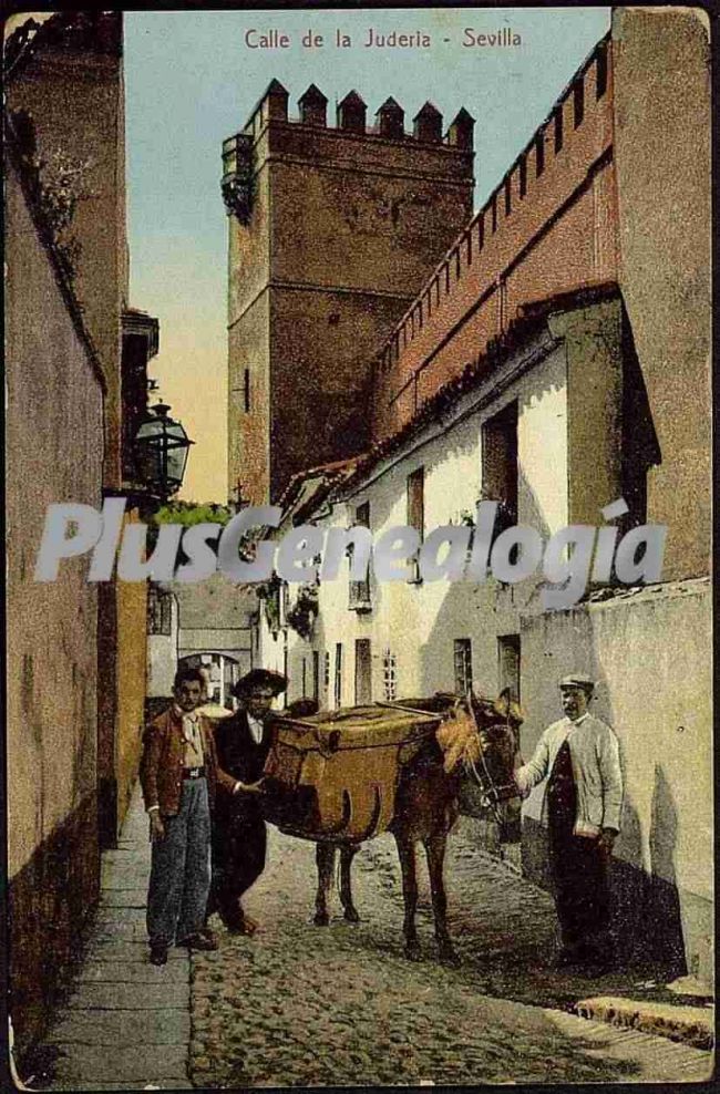 Calle de la judería de sevilla