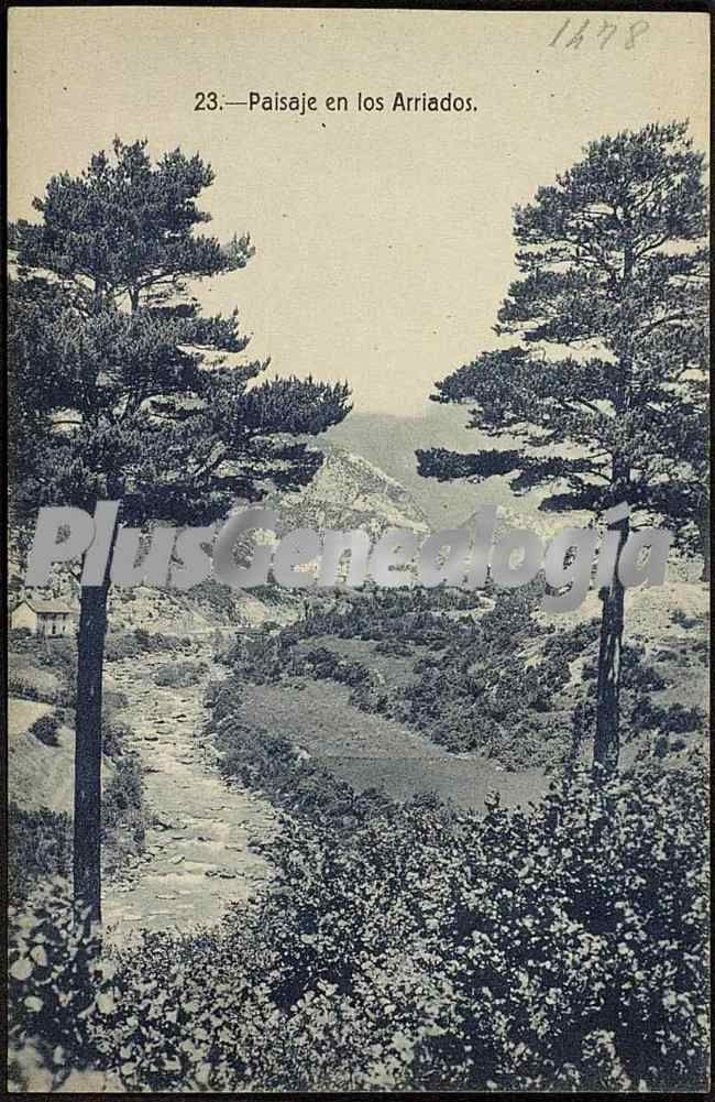 Paisaje en los arriados de canfranc (huesca)