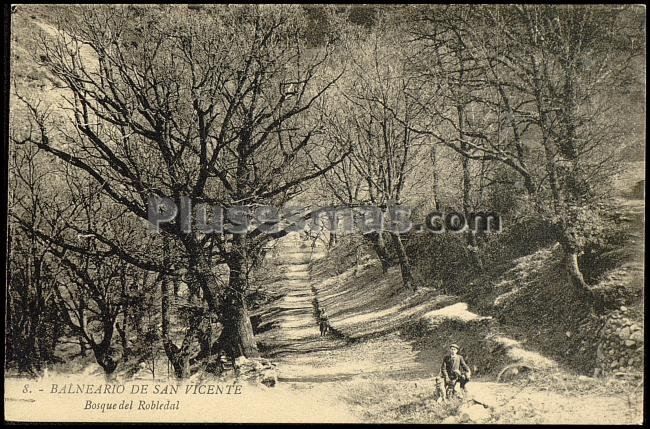 Bosque del robledal y balneario de san vicente (huesca)