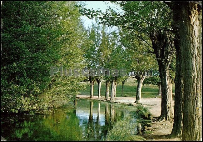 Paisaje río jiloca. camino de los ojos en monreal del campo (teruel)