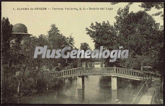 Detalle del lago de alhama de aragón (zaragoza)