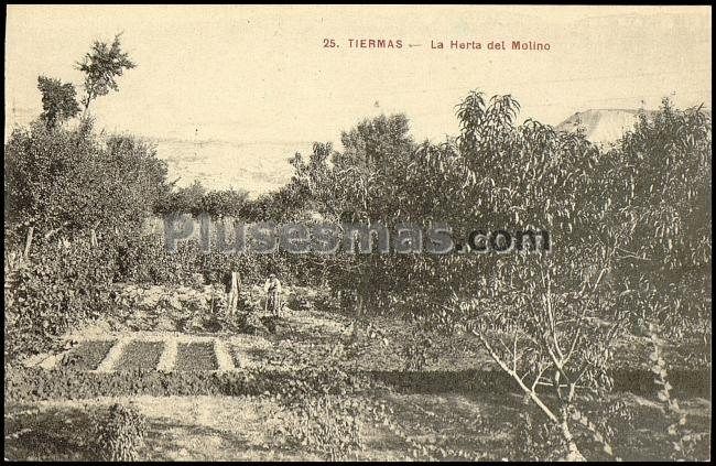 La herta del molino en tiermas (zaragoza)