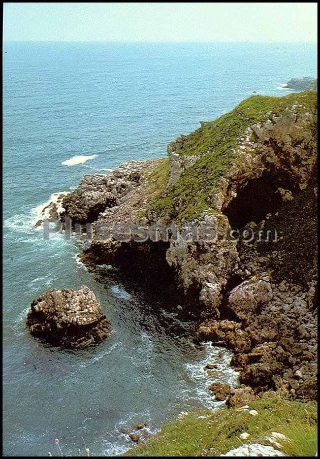 Boca del castro en pechón (cantabria)