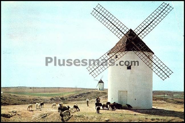 Molinos de viento en mota del cuervo (cuenca)