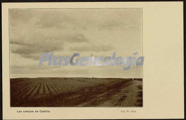 Los campos de castilla en toledo