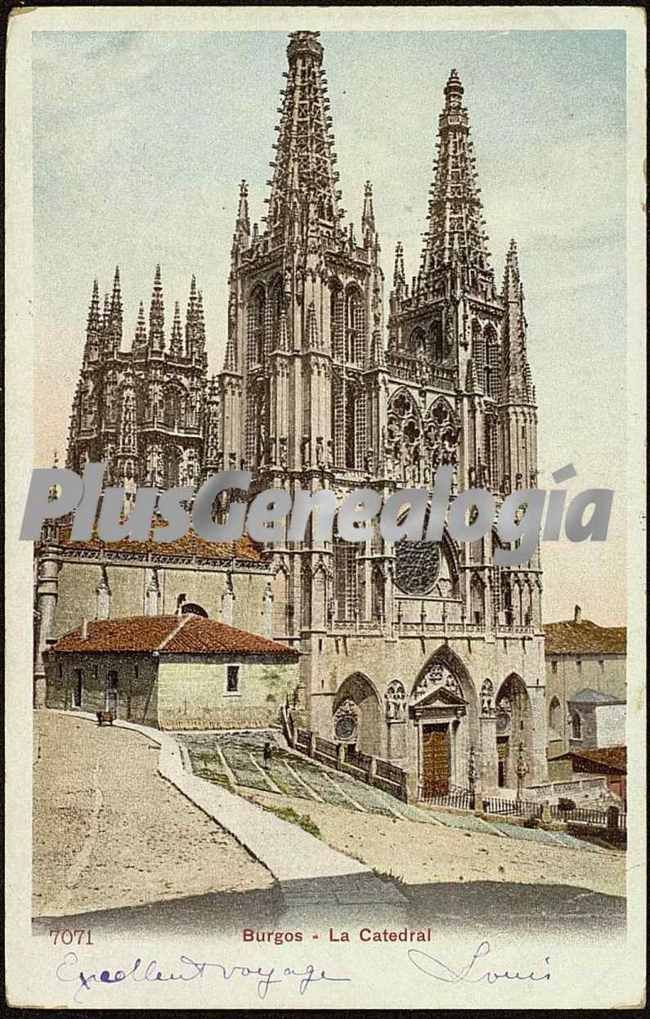 La catedral de burgos (vista vertical en color)