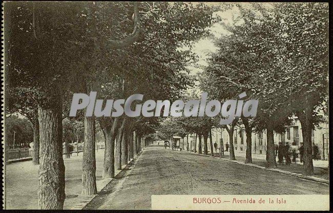 Avenida de la isla de burgos