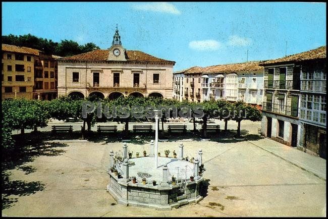 Plaza de villarcayo (burgos)