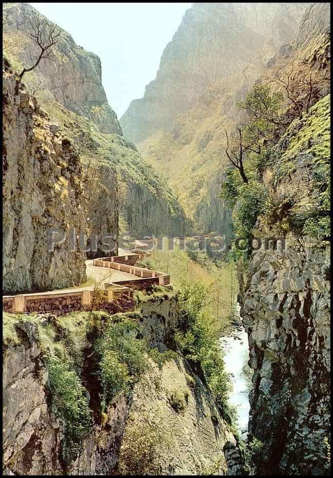 Desfiladero de los bellos en el valle de sajambre (picos de europa, león)