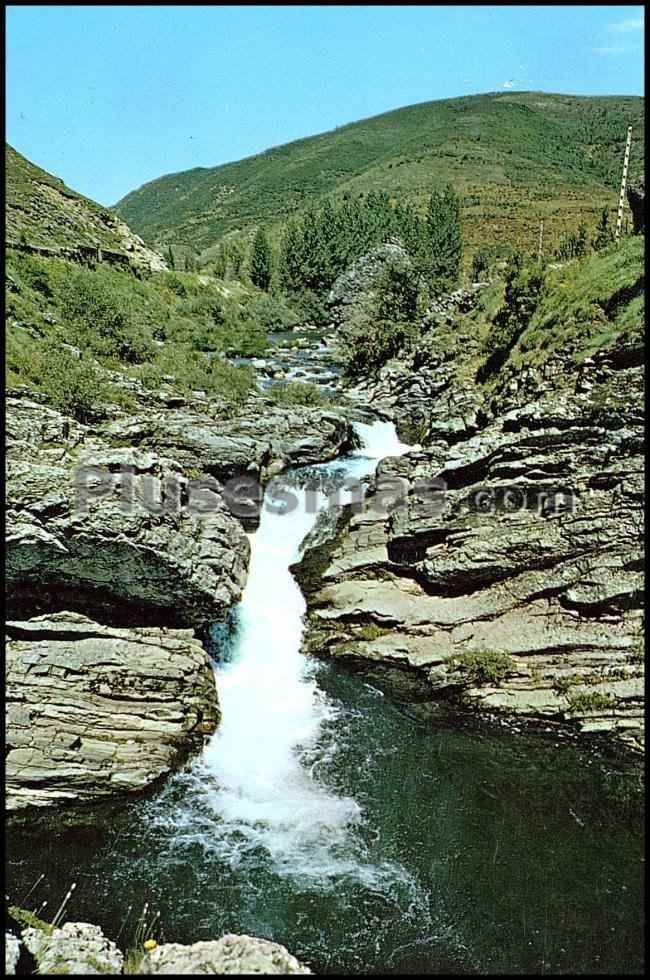 Los pontedos en cármenes (león)