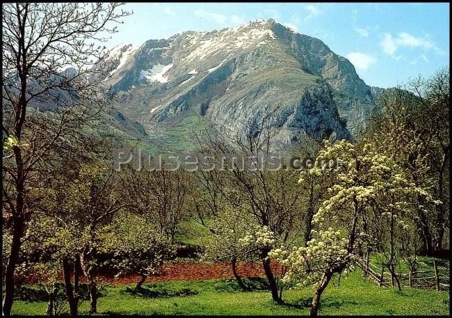 Valle de sajambre (picos europa, león)