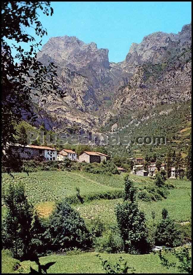 Cain con los picos de europa al fondo (león)