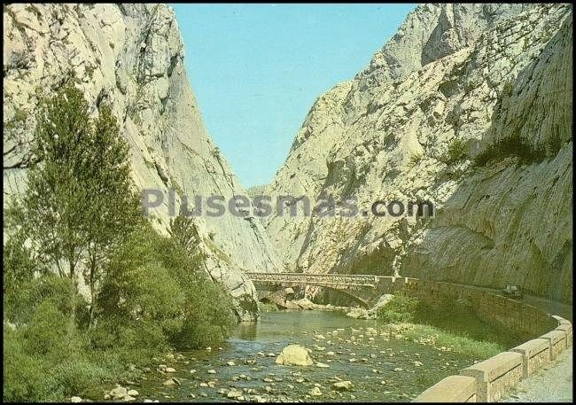 Puente sobre el torio y carretera. hoces de vegacervera (león)