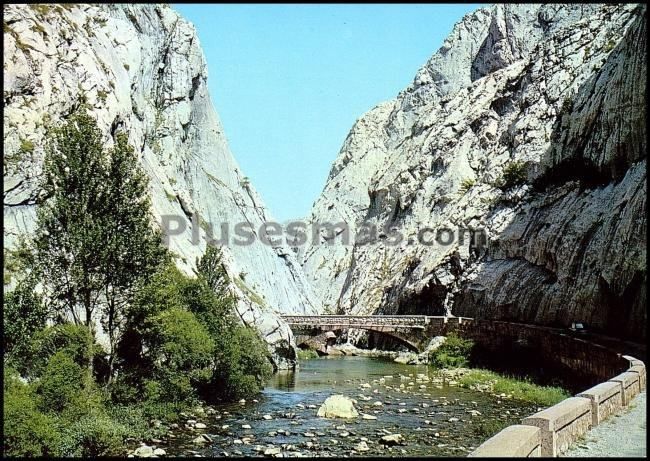 Puente sobre torío y carretera excavada en la roca. vegacervera (león)