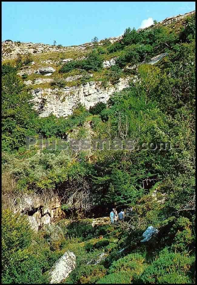 Gran valle de covalonga en revilla de pomar (palencia)