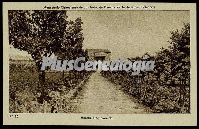 Una avenida de la huerta de venta de baños (palencia)