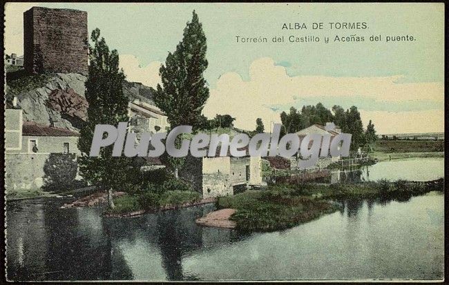 Torreón del castillo y aceñas del puente de alba de tormes (salamanca)