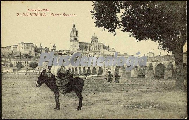 Puente romano de salamanca