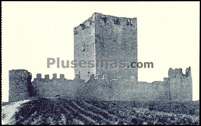 Castillo de tiedra (valladolid)