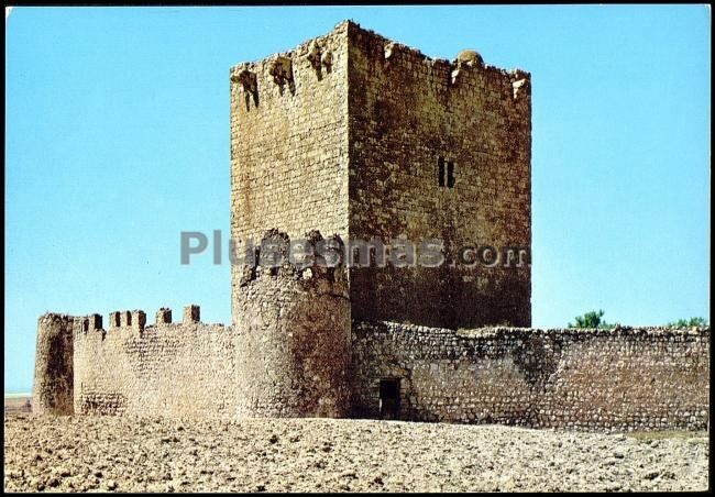 Castillo de tiedra (valladolid)