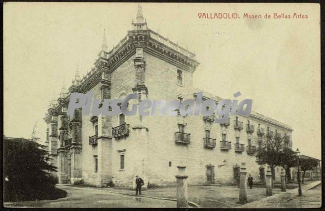 Museo de bellas artes de valladolid