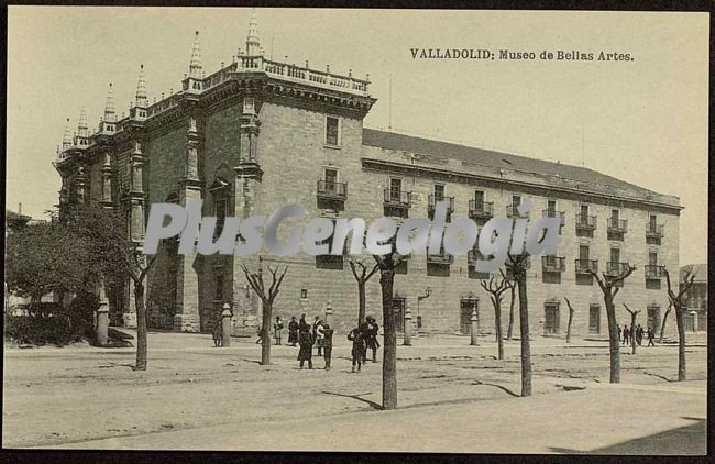 Museo de bellas artes de valladolid