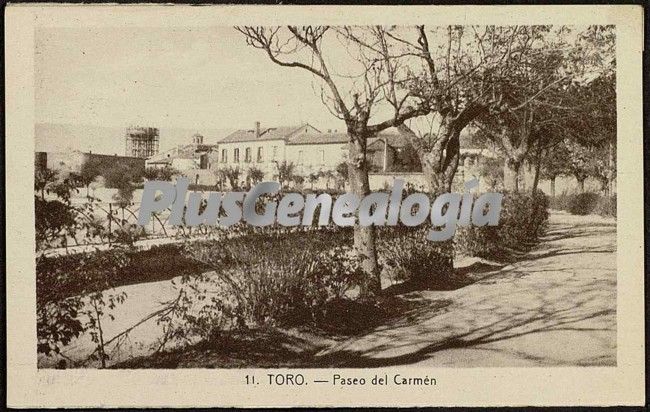 Paseo del carmen de toro (zamora)