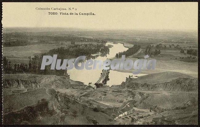 Vista de la campiña de toro (zamora)