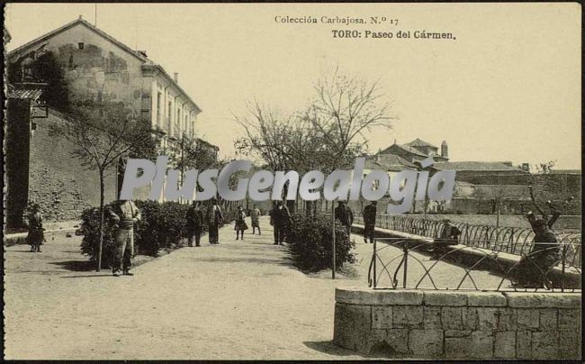 Paseo del carmen de toro (zamora)