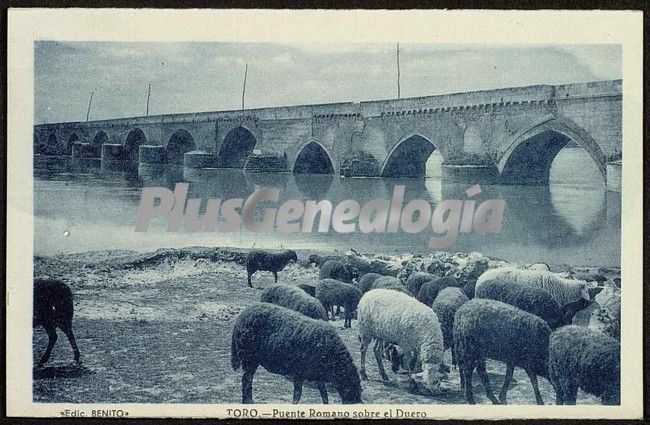 Vista general del puente romano sobre el río duero a su paso por toro (zamora)