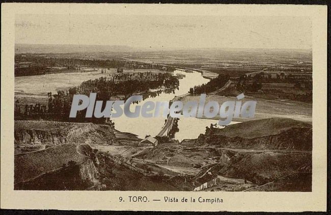 Vista de la campiña de toro (zamora)