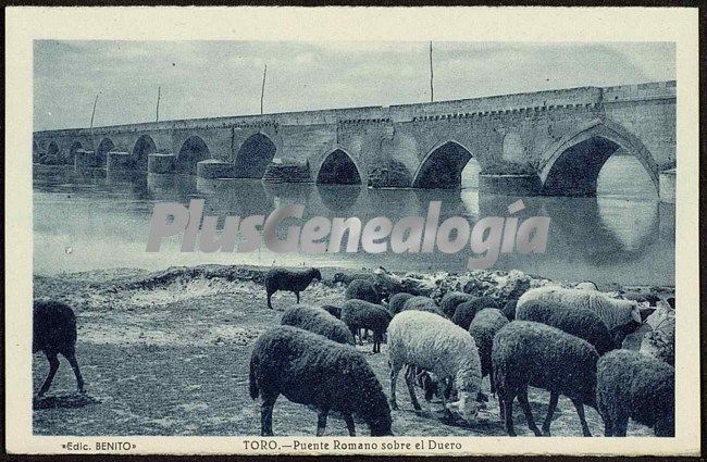 Puente romano sobre el duero de toro (zamora)