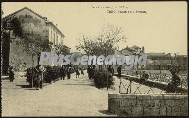 Paseo del carmen de toro (zamora)