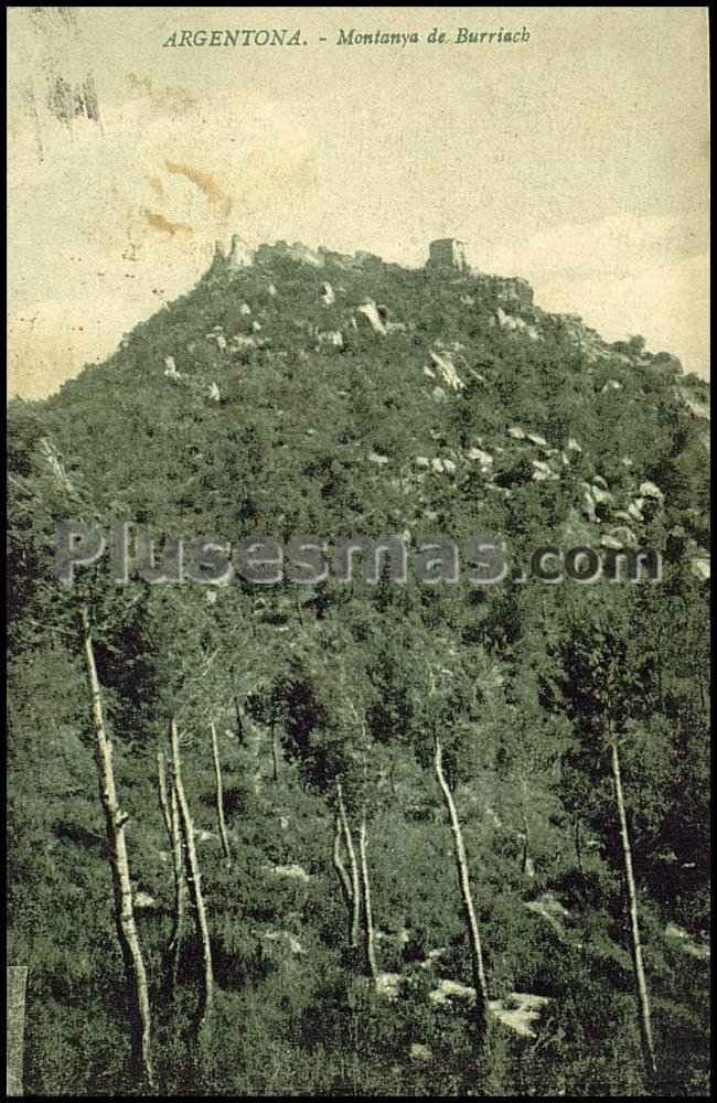 Montanya de Burriach en Argentona (Barcelona)