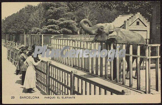 El Elefante del Parque en Barcelona