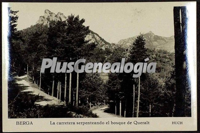 La carretera serpenteando el Bosque de Queralt de Berga (Barcelona)