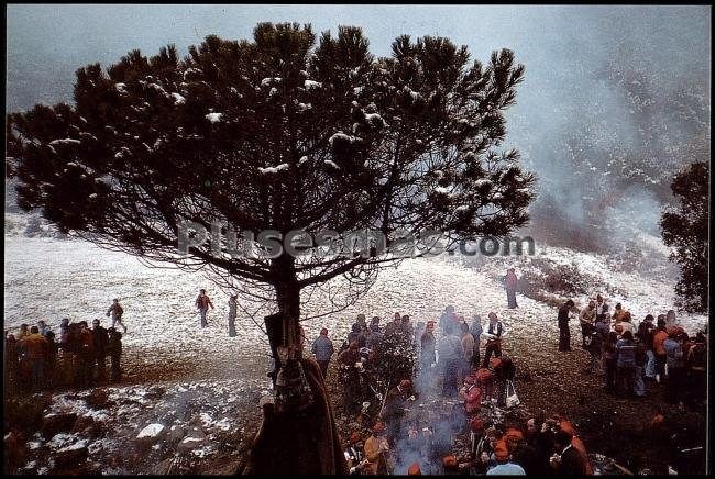 Festa del Pi