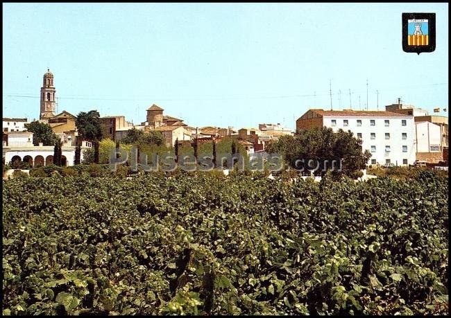 Vista parcial de Cubellas en Barcelona