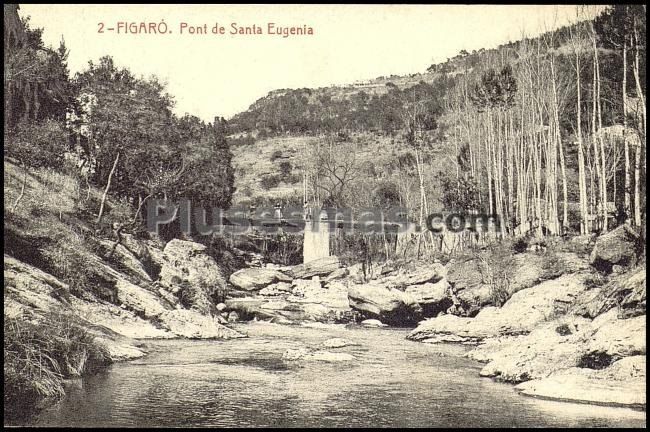 Pont de santa eugenia, en barcelona