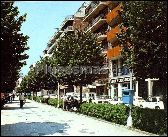 Avenida de la Virgen de Montserrat en Barcelona