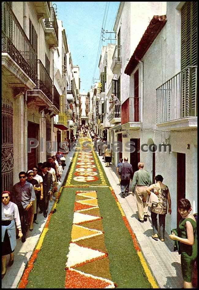 Corpus Christi - Alfombras de Flores (Barcelona)