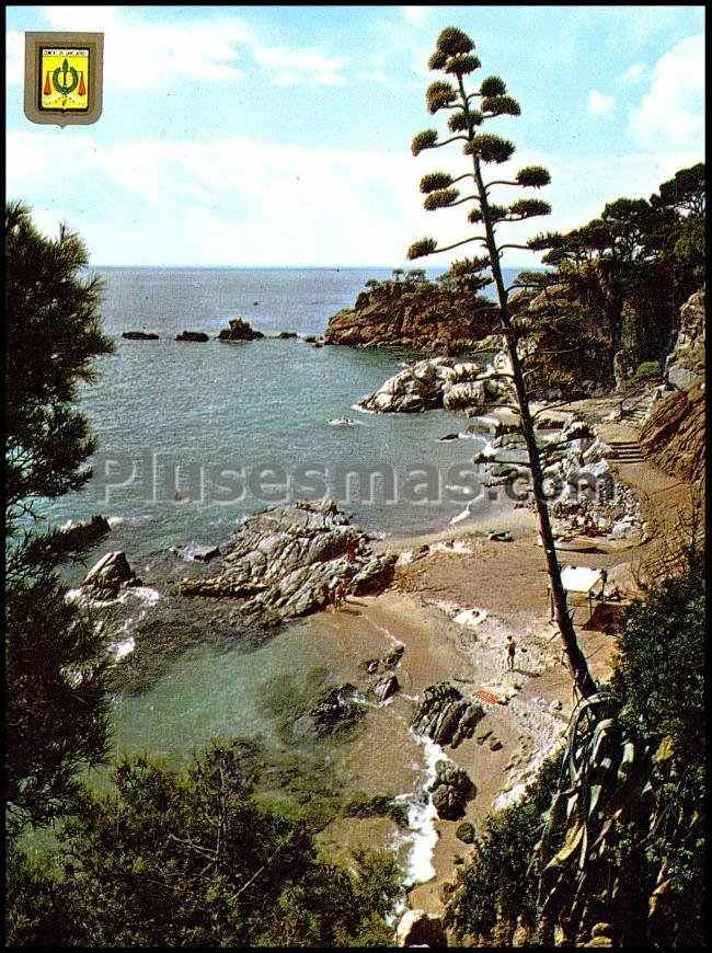 Comptat de sant jordi en calongue (gerona)