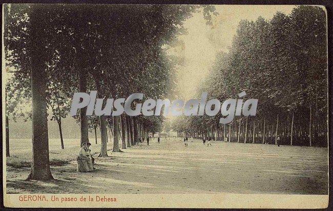 Un paseo de la dehesa de girona