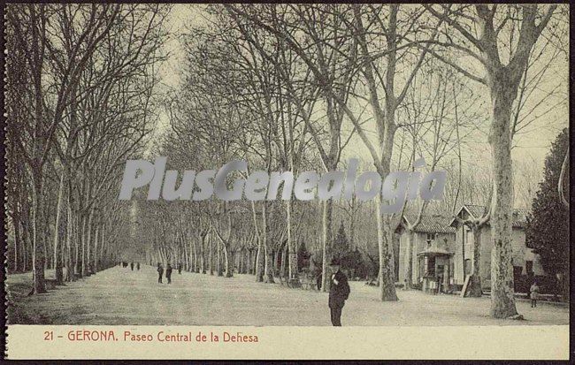 Paseo central de la dehesa de girona