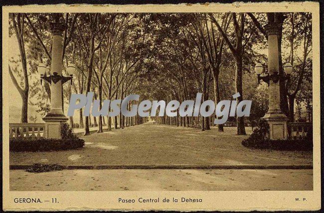 Columnas del paseo central de la dehesa de girona